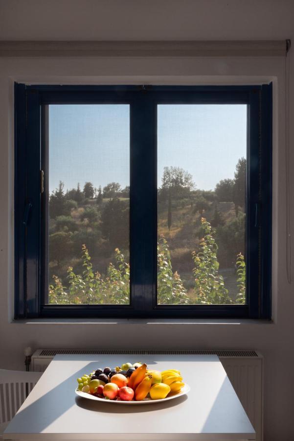 Villa Rodanthi Sivota Esterno foto
